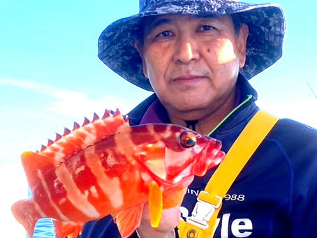 2025.11.1根魚・イサキ