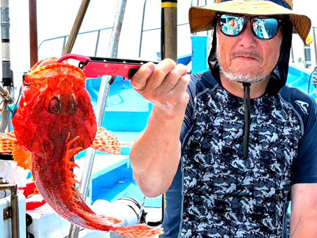 2026.7.16オニカサゴ