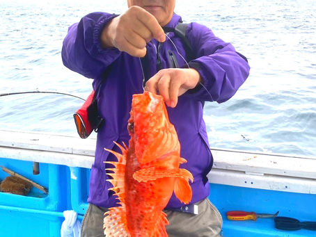 2025.11.5オニカサゴ