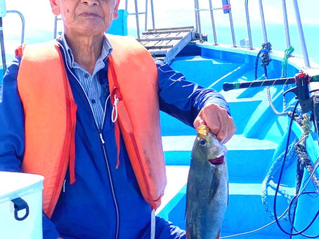 2024.7.2イサキ・根魚リレー