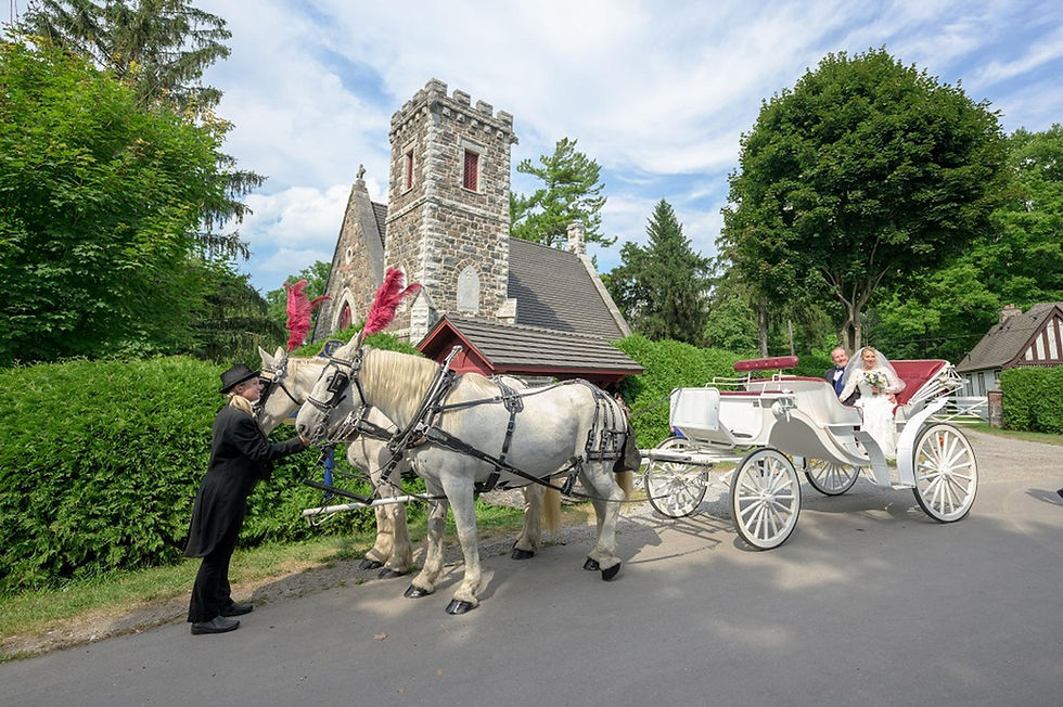 The Briars Resort & spa - carriage.jpg