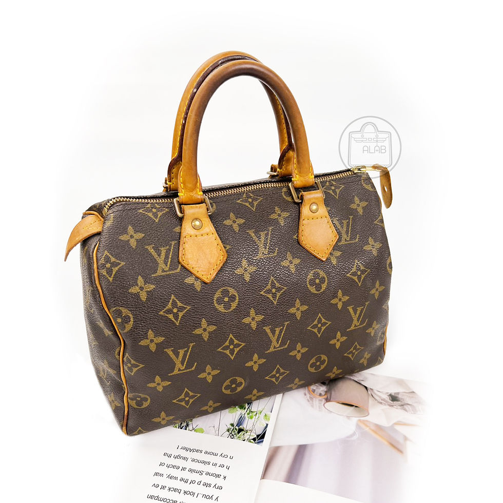 Thumbnail: Louis Vuitton Speedy 20