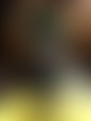 モデル220 Slant Lanternレストレーション中 !!