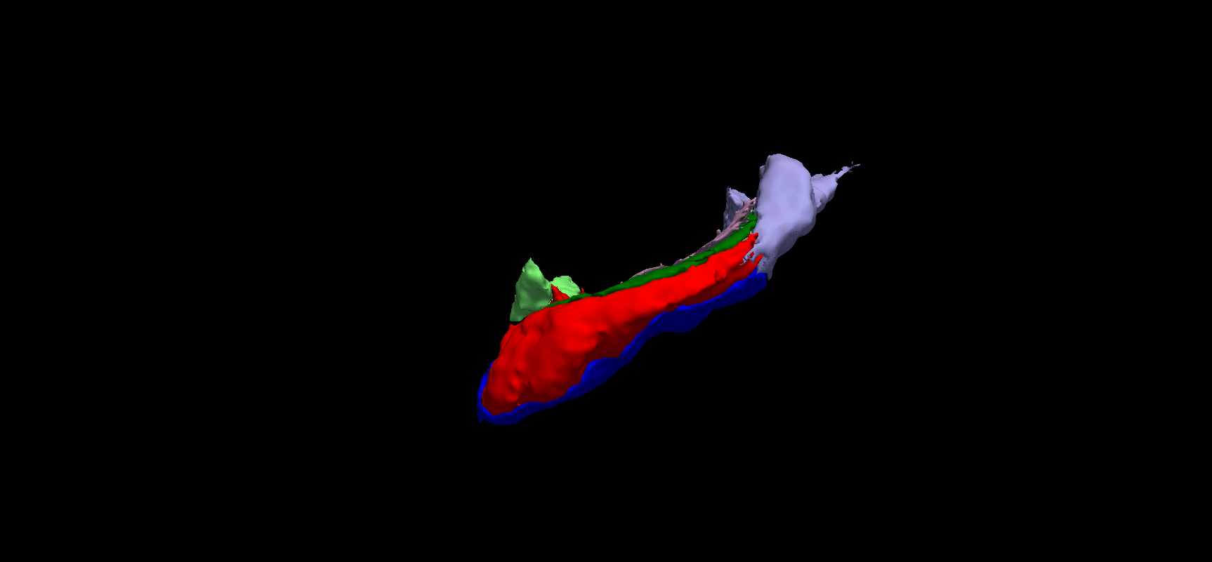 image1.gif