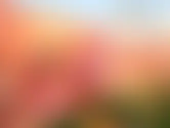 Sharjah Book Fair 2025 y Publisher´s Conference 