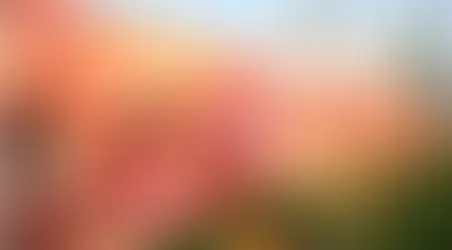 Sharjah Book Fair 2025 y Publisher´s Conference 