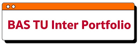 BAS TU Inter Portfolio
