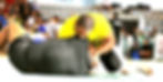 Luta Livre Esportiva