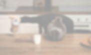 Sleeping Pouring Coffee Website LYNX Partners_edited.jpg