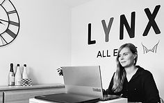 Business meeting 17 Website LYNX Partners_edited.jpg