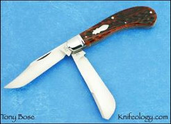 Saddlehorn