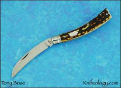 Pruner, Stag