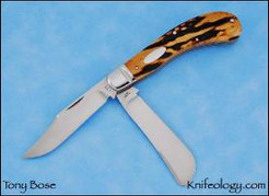 Amber Stag Saddlehorn