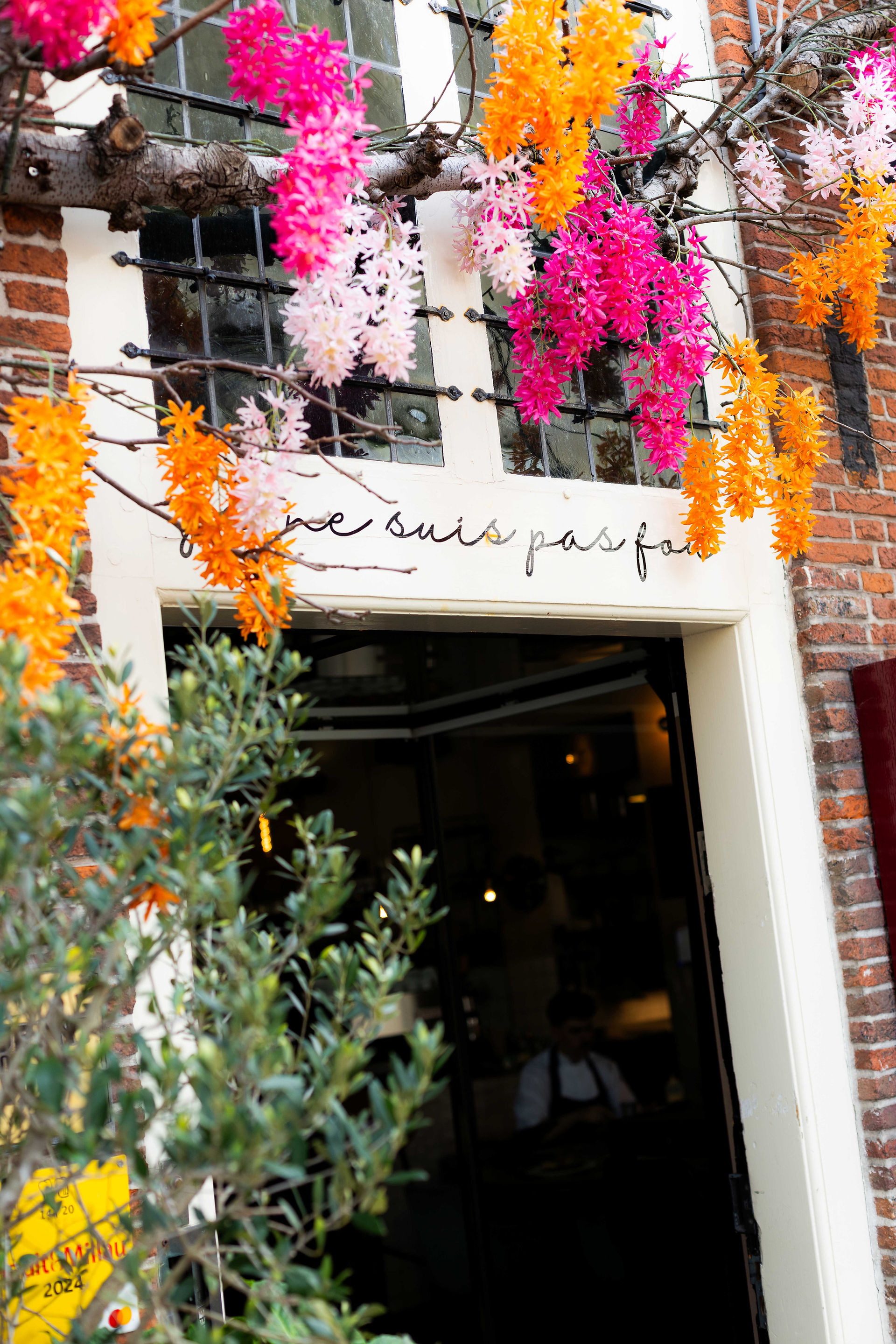 Sunny n'est pas fou op het terras van Frenchie in Haarlem