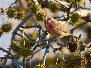 Saturday, November 15: Mill Creek Marsh Photography 