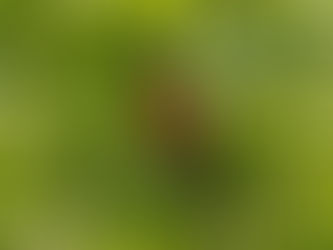 Saturday, June 13, 2026: Halifax Road, Mahwah, NJ