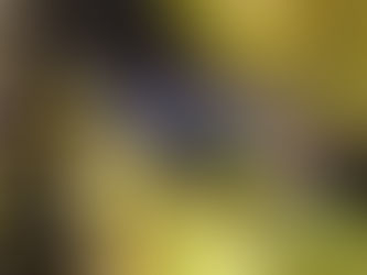 Saturday, May 16: South Mountain Reservation, West Orange, NJ