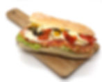 PANINI