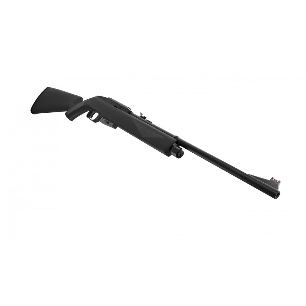 Miniatura: Carabina Co2 1077 4.5mm (C1)
