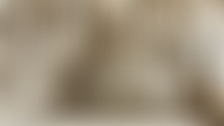 Αναρμοδιότητα Δικαστηρίου και Παραπομπή