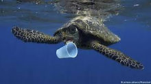 nature5.jpg