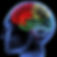 Brain-illustration.jpg
