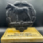TROPHY SA DEUTSCHE REITERJUGEND