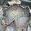 Thumbnail: Luftwaffe rucksack; luftwaffe; rucksack; backpack