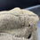 Thumbnail: RAD EM/NCO's overseas cap