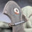 Thumbnail: Wehrmacht Kradmelder glove Left 1942