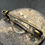 Thumbnail: Early Partei Abezichen NSDAP 23,4mm