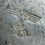 Thumbnail: Reichsarbeitsdienst wash bowl RAD