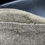 Thumbnail: RAD EM/NCO's overseas cap
