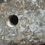 Thumbnail: No. 119 Fuze from a 25-pounder artillery shell