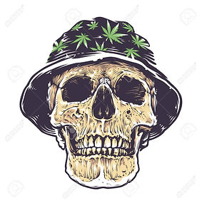71686028-rasta-skull-in-hat-with-cannabi