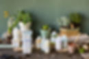Davines
