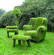 bushes.jpg
