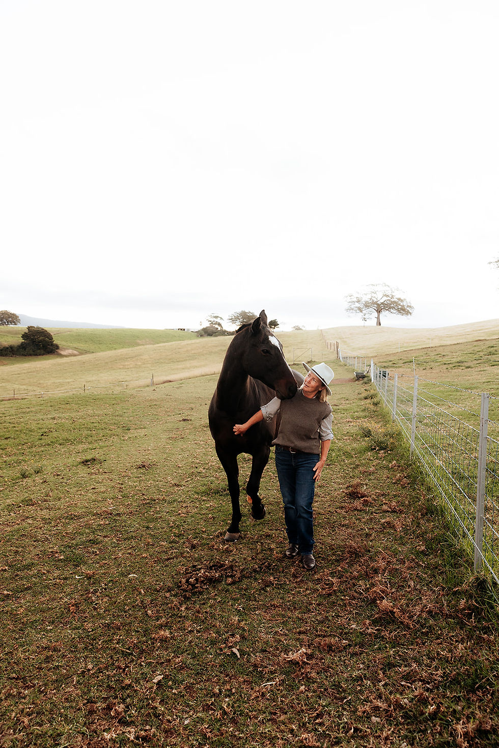 NEST Equine & Nature_Branding_Kiama NSW_sol flare photography-156.jpg