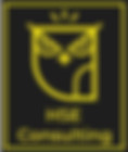 Logo - HSE Consulting 3.JPG