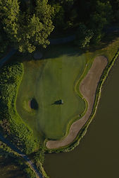 aerial view of green trees beside river during daytime_edited.jpg
