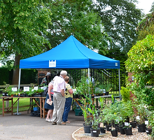 Screenshot 2025-03-06 at 21.04.31.png