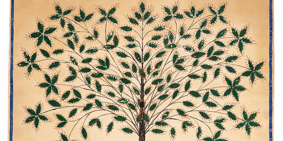 'The Testament of Ann Lee' and Eighteenth-Century Enthusiastic Religion