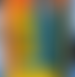 Plastic Bottle Art: Creative Designs Made from Plastic Waste