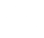 NAPO-Minnesota-Chapter-White-Logo.png