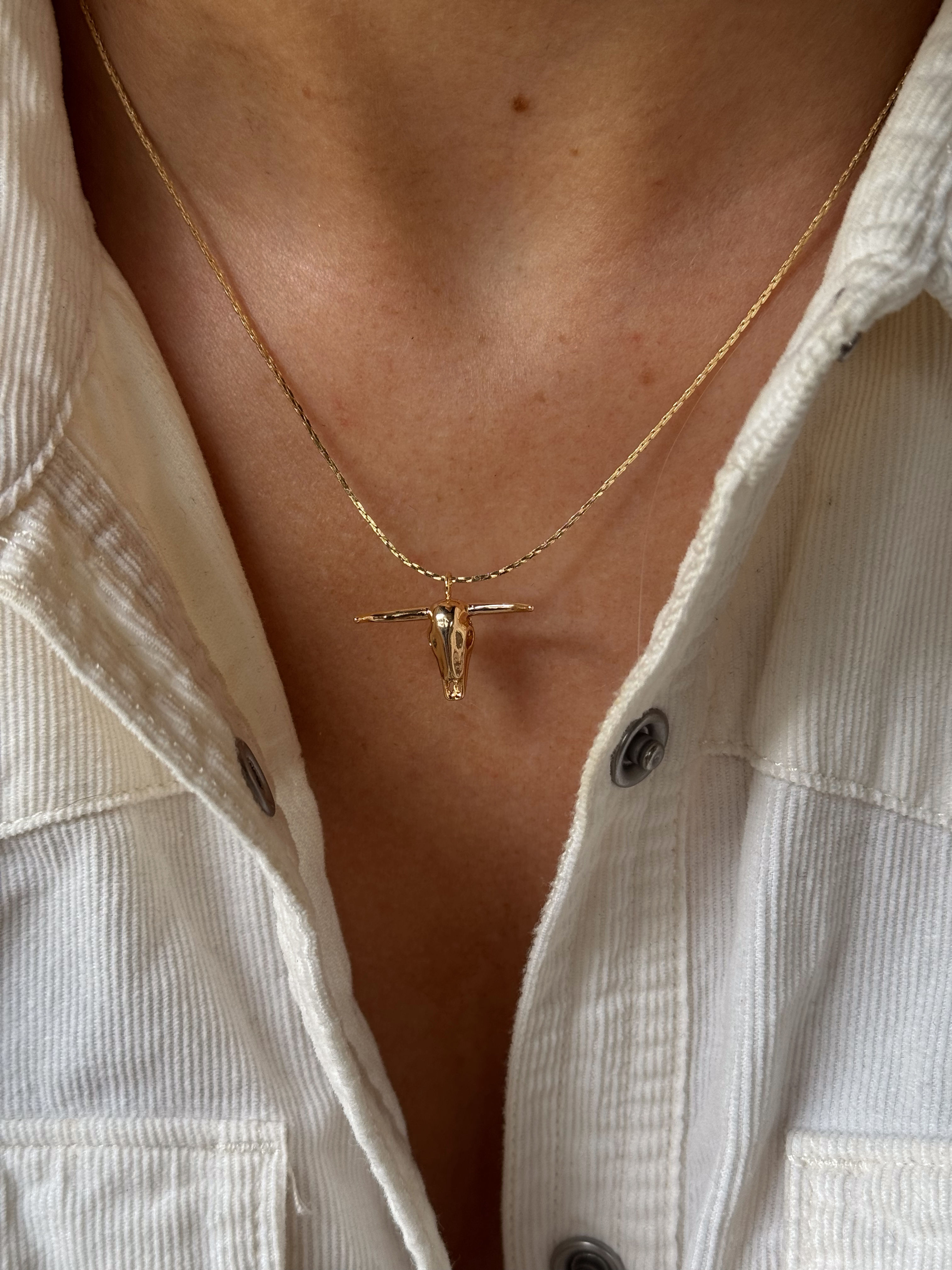Longhorn necklace