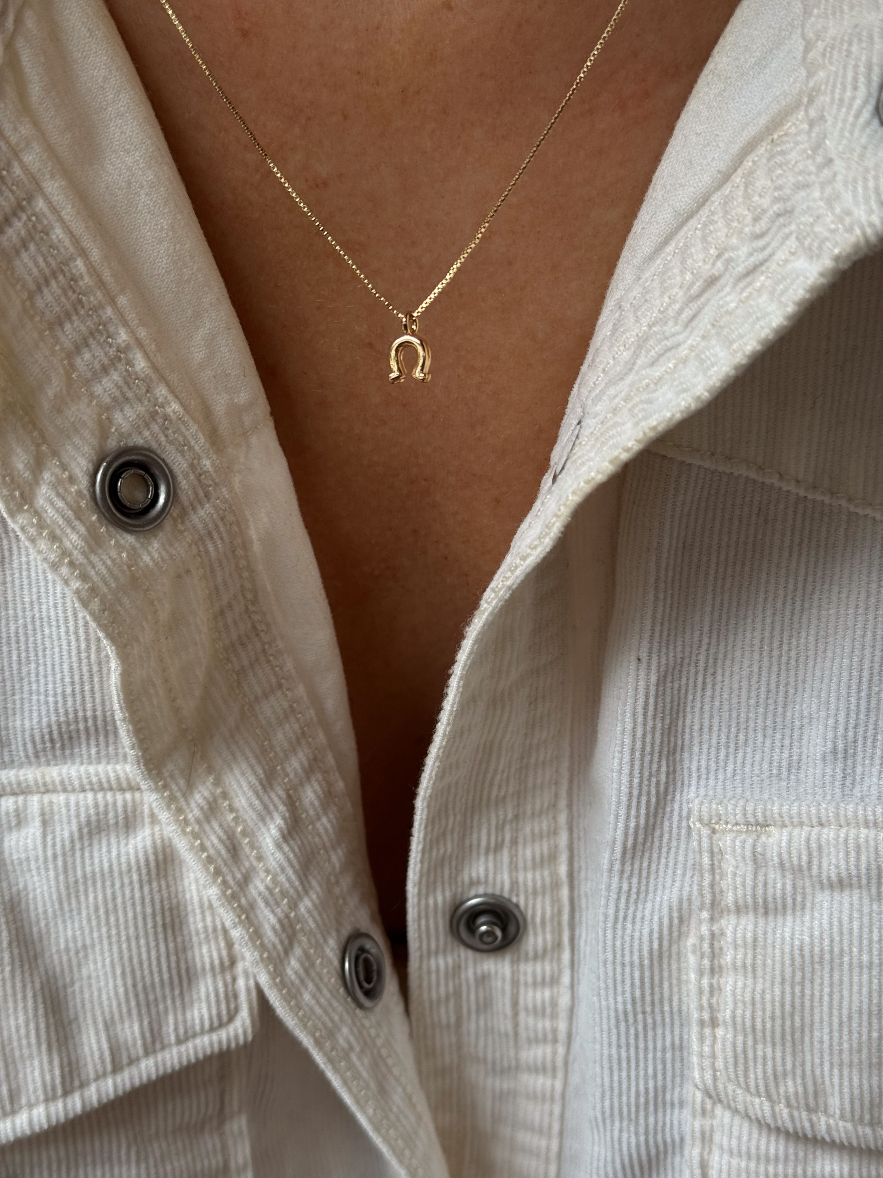Horseshoe necklace