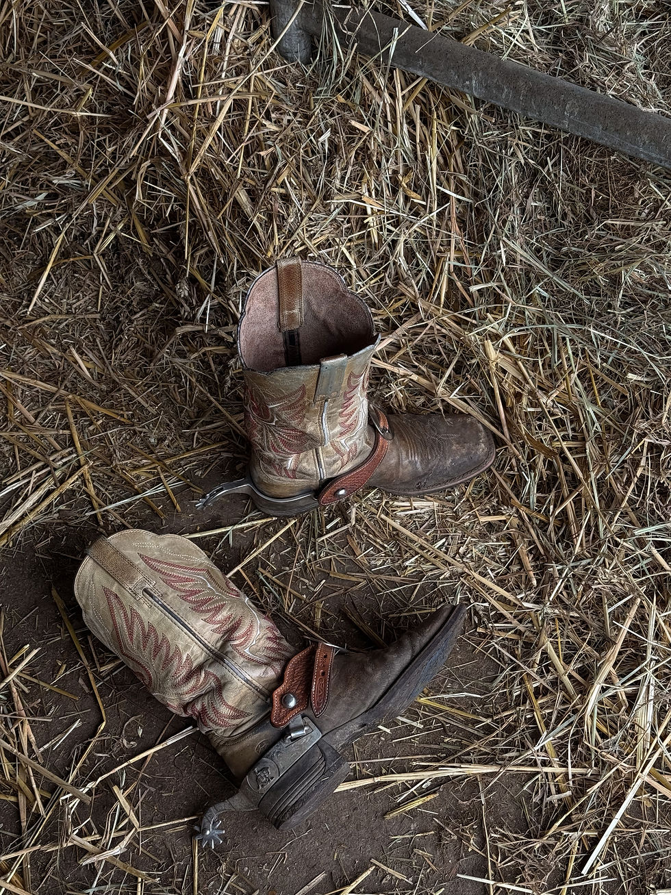 Thumbnail: Cowboy boot earrings