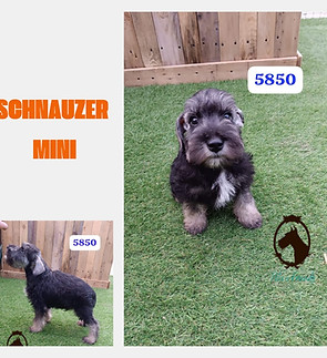 WhatsApp Image 2025-09-26 at 11.52.08 (1).jpeg