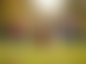 Las 4 mejores razas de perro para hogares con niños (Guía para familias).