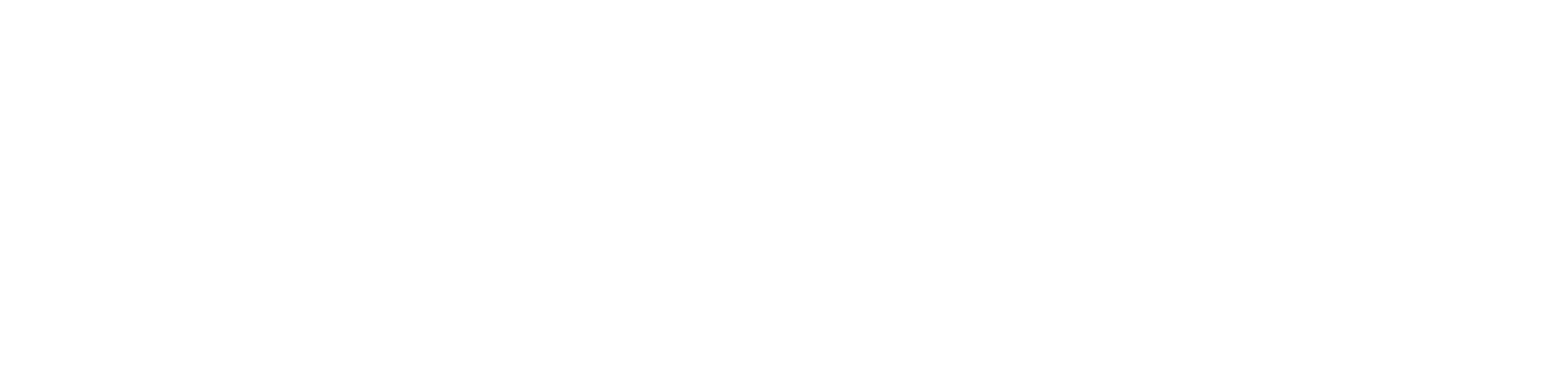 white logo.png